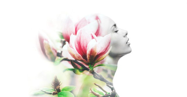 În vremuri tulburi, protejează-ți mintea cu înțelepciunea cărților: Vorbe de suflet de la Constantin Noica