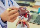 Simptomul discret al pielii care poate arăta că ficatul tău este suprasolicitat