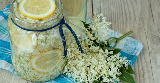 Reteta de socata. Beneficiile acestei bauturi sunt extraordinare