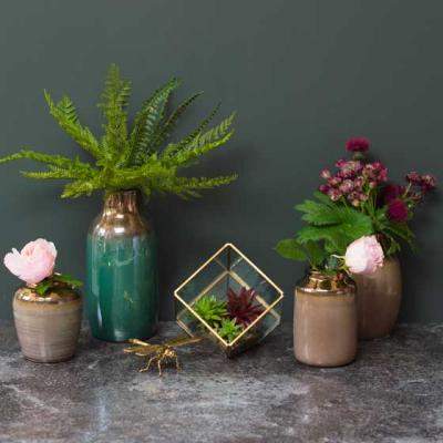 Cum sa realizezi un terariu