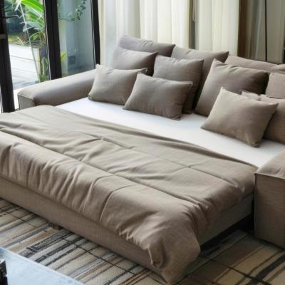 2025 din perspectiva tendințelor privind achiziția de canapele extensibile: Analiză