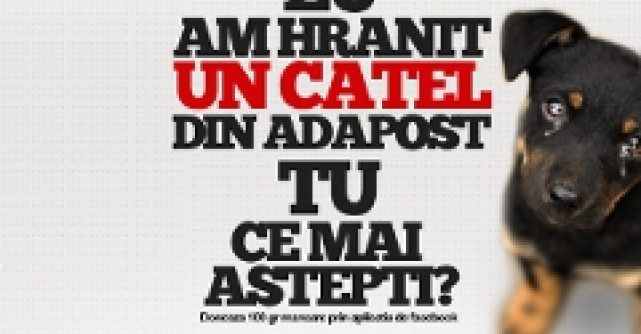 Hraneste un catel!, o campanie de ajutorare a cateilor din adaposturi