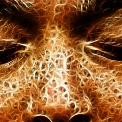 Trei pasi pentru a-ti recapata instantaneu zen-ul 