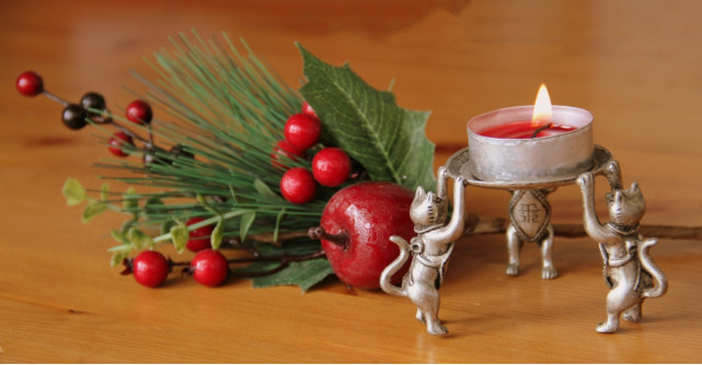 7 idei de cadouri purrrfecte pentru iubitorii de pisici