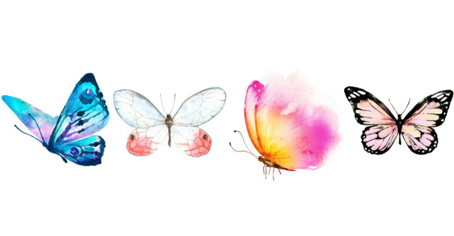 Alege un fluture și află ce îți va aduce anul 2019