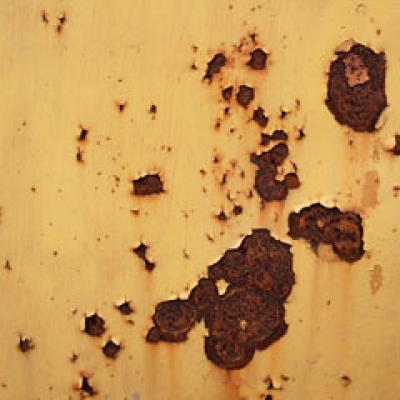 Lucruri obligatoriu de stiut despre alunite