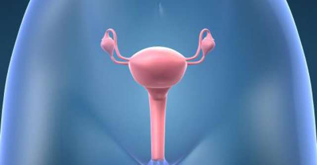 Embolizarea fibromului uterin afecteaza fertilitatea