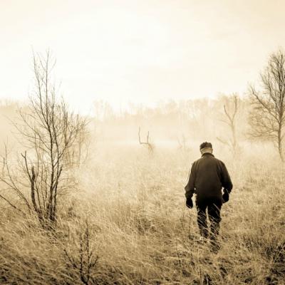 Ai uitat ca viata trebuie traita?