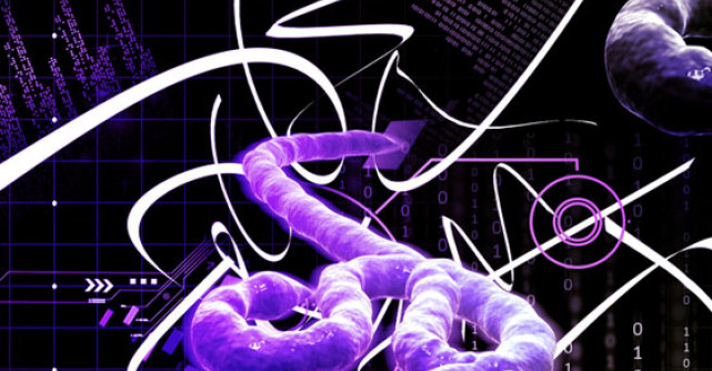 Virusul EBOLA sau febra hemoragica: ce ar trebui sa stii