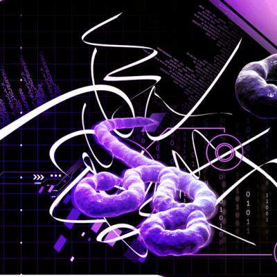 Virusul EBOLA sau febra hemoragica: ce ar trebui sa stii