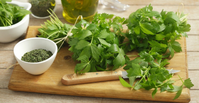 Leuşteanul - planta minune a primăverii