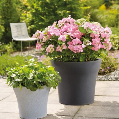 Sfaturi si trucuri pentru a avea o gradina frumoasa - Partea a II-a