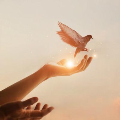 POSTUL, o provocare pentru trup și spirit