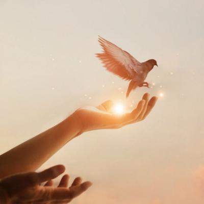 POSTUL, o provocare pentru trup și spirit