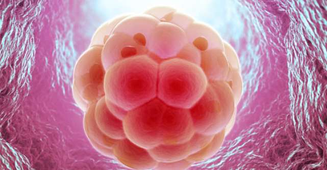 Evolutia exponentiala a domeniului celulelor stem in 2013. Ce promite 2014 pentru medicina regenerativa? 