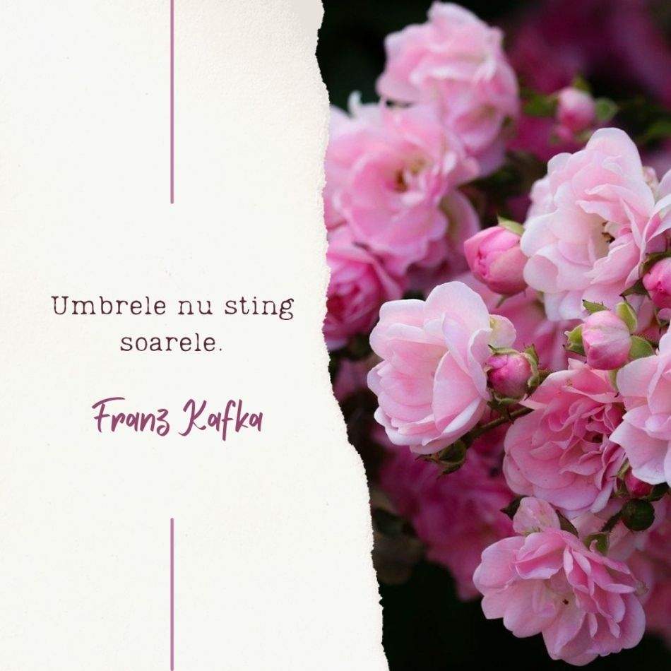 40 de citate și cugetări ale lui Franz Kafka: Mi-am petrecut viaţa, stăpânindu-mă, sfărâmând-o. 