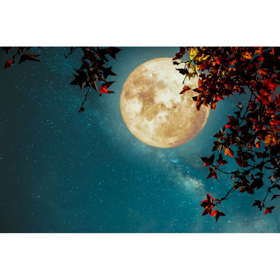  Despre cerul toamnei