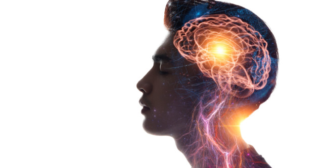 Bazarul memoriei, o investigație fascinantă a modului cum se formează amintirile și cum ne construiesc ele pe noi