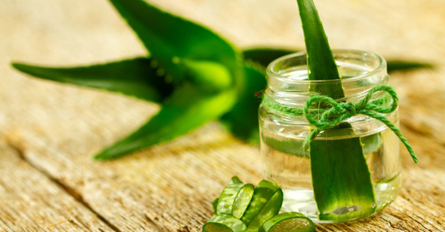 Aloe Vera, planta cu efecte miraculoase asupra sanatatii