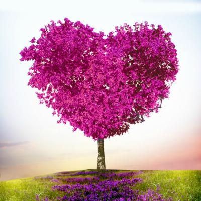 Astrologie: Horoscopul dragostei pentru luna martie 2017