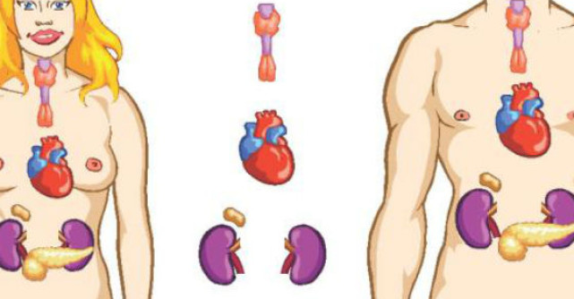 17 Tratamente naturiste pentru Tiroida