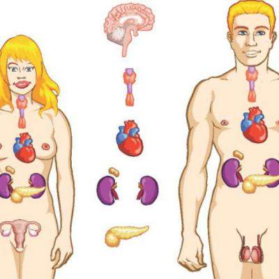 17 Tratamente naturiste pentru Tiroida