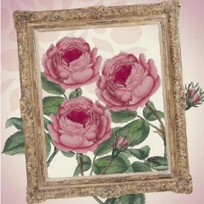 Rafinament si eleganta britanica de la Bronnley