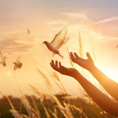 GENEROZITATE  și CREDINȚĂ, cuvintele cheie pentru săptămâna 29  APRILIE - 5 MAI 2019