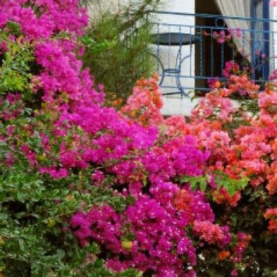 Reduceri Early Booking pt Grecia Insulara cu Avionul