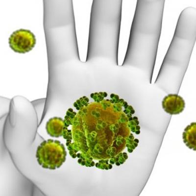 Imunitatea si flora intestinala. Cum sa mentinem echilibrul intre cele doua?  