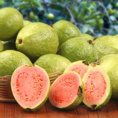 Guava: SUPER-fructul care slabeste si creste imunitatea