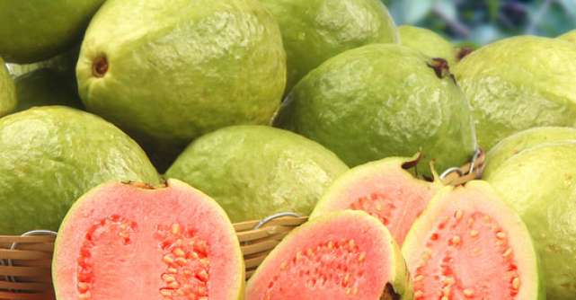 Guava: SUPER-fructul care slabeste si creste imunitatea