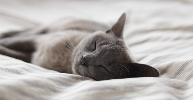 Alimente care stimulează producerea de melatonină, hormonul care ajută la reglarea ciclului natural de somn