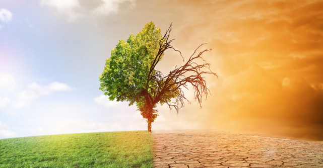 Omenirea este pe minus, azi a consumat resursele pentru tot anul