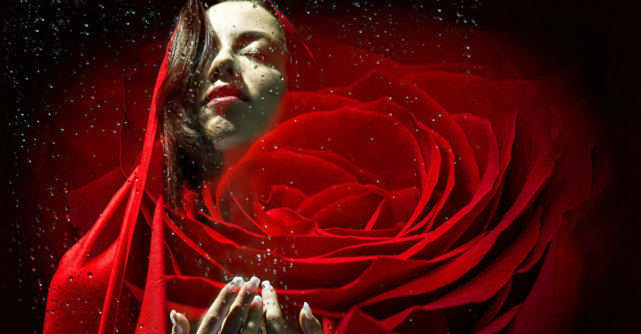 Nu este vina ta că nu ai știut să îți protejezi inima