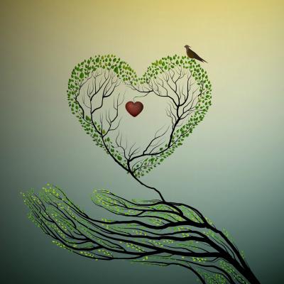 Dacă ai privi mai des în sufletul tău, ai gasi raspunsuri la toate intrebarile