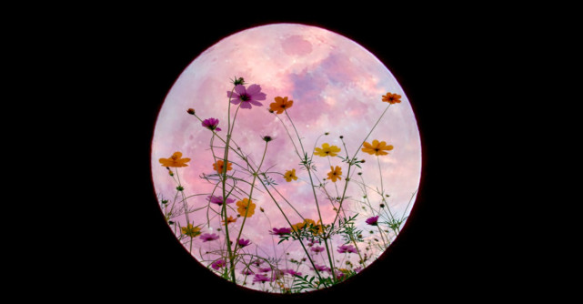 Super Luna Zapezii de pe 19 februarie ne curata de energiile negative