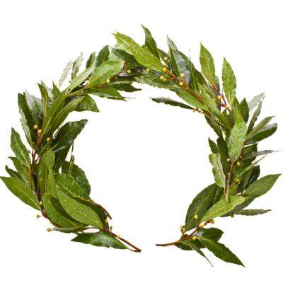 El este primul medic roman care primeste Premiul de Cercetare Fritz-Worwag!