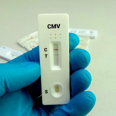 Totul despre citomegalovirus