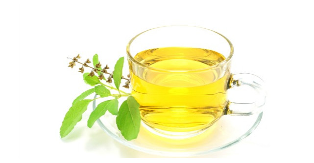 Efectele ceaiului de busuioc asupra organismului tau