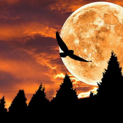 Pe 23 aprilie avem Lună Nouă în Taur. Întunericul se transformă în lumină