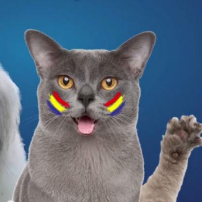 Video: Intoarce-te, romane! Cel mai FRUMOS clip pentru romanii de peste hotare