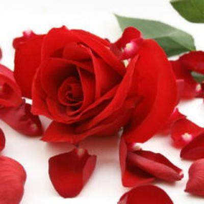 Nu te mai iubesc, draga mea...