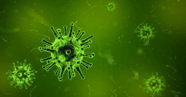 Toxoplasmoza, infectie cu urmari grave la femei