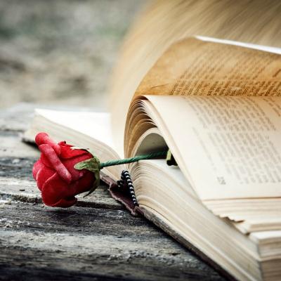 'Dincolo de iarnă' de Isabel Allende - o poveste despre solidaritate, iertare și puterea vindecătoare a dragostei