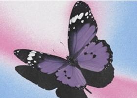 Cucerind lumea prin iubire - Us - Gamuel Sori x Lovespeake
