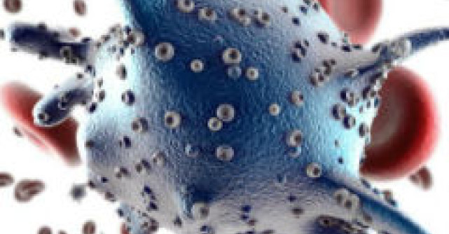 Telocitele, lumea medicala mondiala reactioneaza