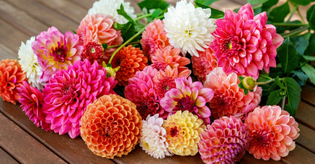 Flori de grădină care înfloresc toată vara: ce să alegi, când să le plantezi și cum să le îngrijești în România