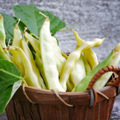 Efectele pe care le are fasolea verde