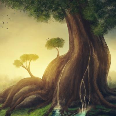 Ghid simplu de a atrage fericirea